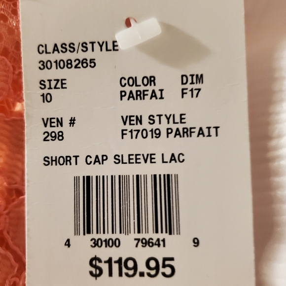 David's Bridal Lace Dress - Parfait, Size 10 - Picture 5 of 6